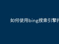 如何使用bing搜索引擎打开-路由网