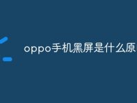 oppo手机黑屏是什么原因-路由网