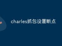 charles抓包设置断点-路由网