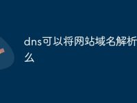 dns可以将网站域名解析为什么-路由网