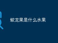 蛟龙果是什么水果-路由网