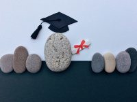 学历证书学信网怎么查-路由网