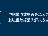 电脑磁盘数据丢失怎么办 电脑磁盘数据丢失解决方法-路由网