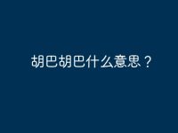 胡巴胡巴什么意思?-路由网