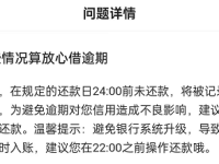 一文看懂:抖音放心借逾期会怎么样,逾期怎么办呢?-路由网