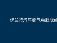 伊兰特汽车燃气电脑版维修?-路由网