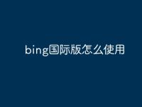 bing国际版怎么使用-路由网