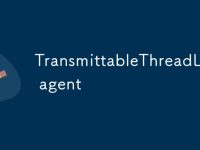 TransmittableThreadLocal agent-路由网