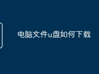 电脑文件u盘如何下载-路由网