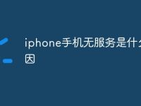 iphone手机无服务是什么原因-路由网
