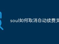 soul如何取消自动续费支付宝-路由网