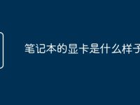笔记本的显卡是什么样子的啊-路由网