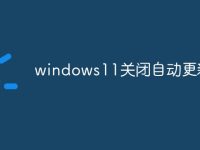 windows11关闭自动更新-路由网