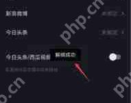 抖音子账号功能特点详解-路由网