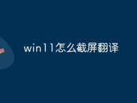 win11怎么截屏翻译-路由网