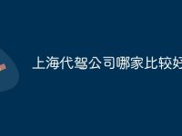 上海代驾公司哪家比较好-路由网