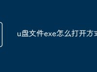 u盘文件exe怎么打开方式-路由网