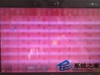 WinXP开机显示粉红色之后恢复进入桌面是怎么回事-路由网