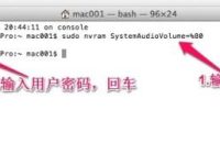 苹果Mac系统怎么彻底关闭开机的声音?-路由网
