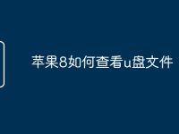 苹果8如何查看u盘文件-路由网