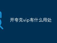 开夸克vip有什么用处-路由网