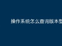 操作系统怎么查询版本型号-路由网