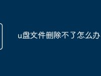 u盘文件删除不了怎么办-路由网