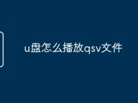 u盘怎么播放qsv文件-路由网
