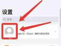 苹果怎么关闭优酷会员自动续费-路由网