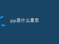 pp是什么意思-路由网