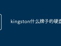 kingston什么牌子的硬盘-路由网