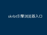 skrbt引擎浏览器入口-路由网