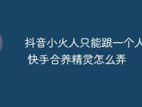 抖音小火人只能跟一个人养吗 快手合养精灵怎么弄-路由网