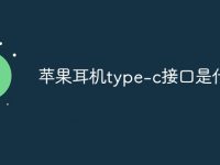 苹果耳机type-c接口是什么-路由网