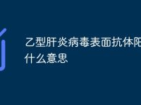 乙型肝炎病毒表面抗体阳性是什么意思-路由网