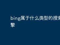 bing属于什么类型的搜索引擎-路由网