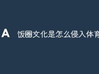 饭圈文化是怎么侵入体育圈的-路由网