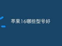 苹果16哪些型号好-路由网