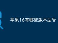 苹果16有哪些版本型号-路由网