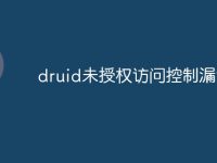 druid未授权访问控制漏洞-路由网