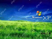 XP系统下载后如何将FLASH设置为动态桌面背景？-路由网