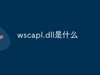 wscapl.dll是什么-路由网