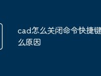 cad怎么关闭命令快捷键是什么原因-路由网