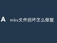 mkv文件损坏怎么修复-路由网