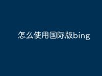 怎么使用国际版bing-路由网