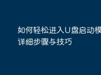 如何轻松进入U盘启动模式：详细步骤与技巧-路由网