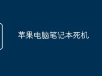 苹果电脑笔记本死机-路由网