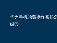 华为手机鸿蒙操作系统怎么升级的-路由网