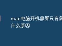 mac电脑开机黑屏只有鼠标是什么原因-路由网