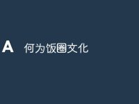 何为饭圈文化-路由网